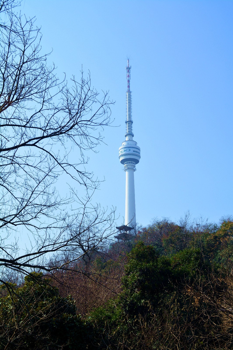 上海老头帮在武汉三镇旅游.