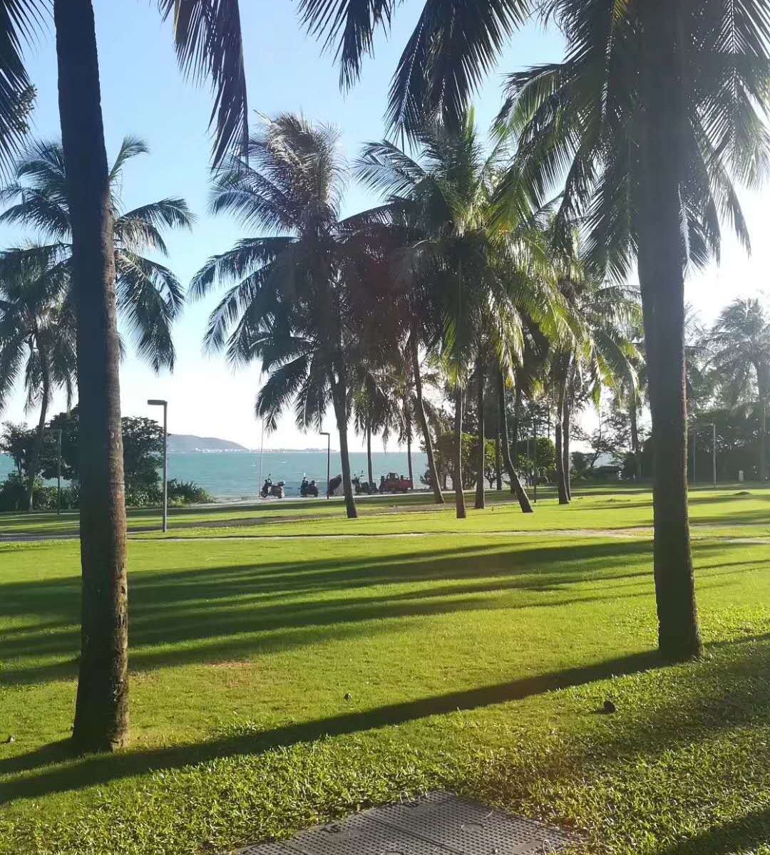 蜜月无敌海景一室一厅