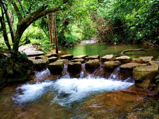 貴州黃果樹瀑布旅游價格多少跟團_貴州黃果樹瀑布旅游路線_貴州黃果樹瀑布游報價