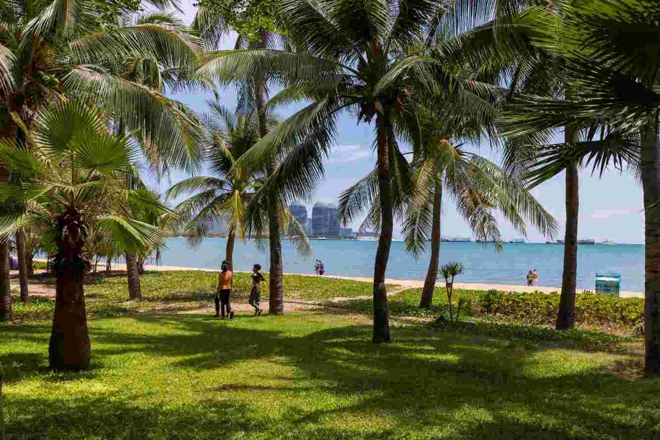 豪华海景两室一厅