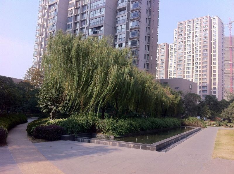 爱心公寓(常州乾盛兰庭店)
