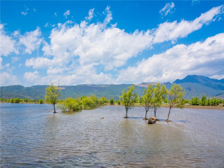 去云南麗江游要多少錢_旅游去云南麗江_云南麗江游8月份報(bào)價(jià)
