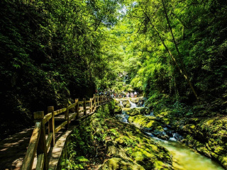 重庆旅游十日游路程_去重庆旅游团多少钱_近期去重庆旅游