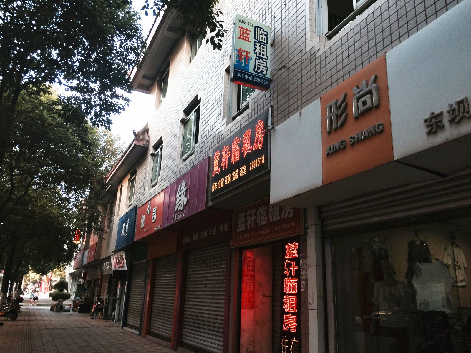 外观