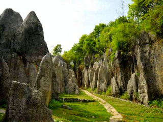 重庆旅游十日游路程_去重庆旅游团多少钱_近期去重庆旅游
