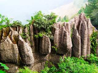 重庆旅游十日游路程_去重庆旅游团多少钱_近期去重庆旅游