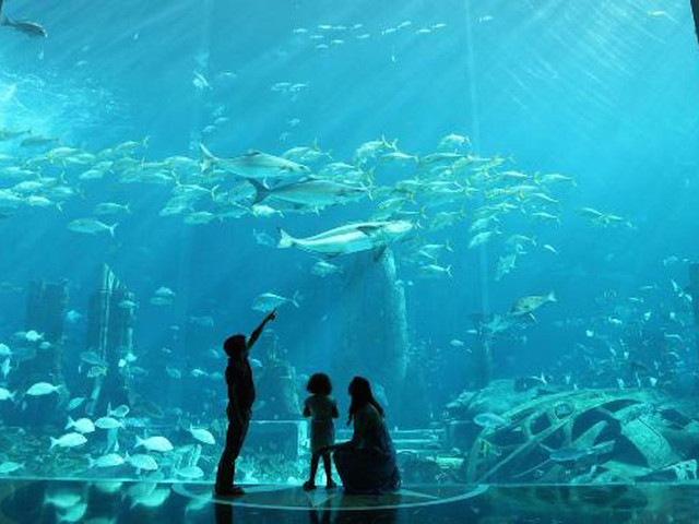 失落的空间水族馆