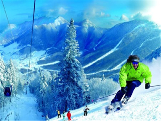 東北長(zhǎng)白山自由行還是跟團(tuán)好_怎么去東北長(zhǎng)白山旅游_旅游團(tuán)東北長(zhǎng)白山