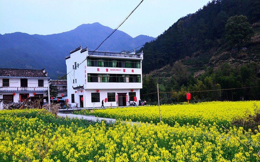 婺源江岭农家驿站
