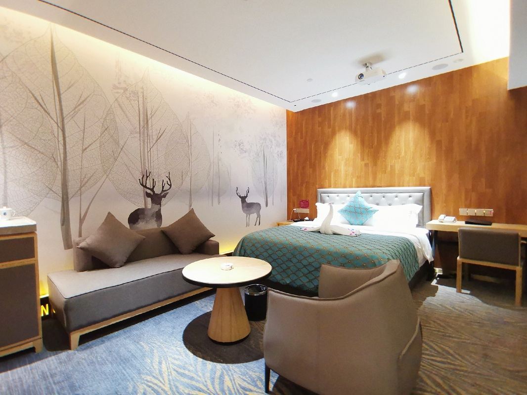 电影主题房(无窗)