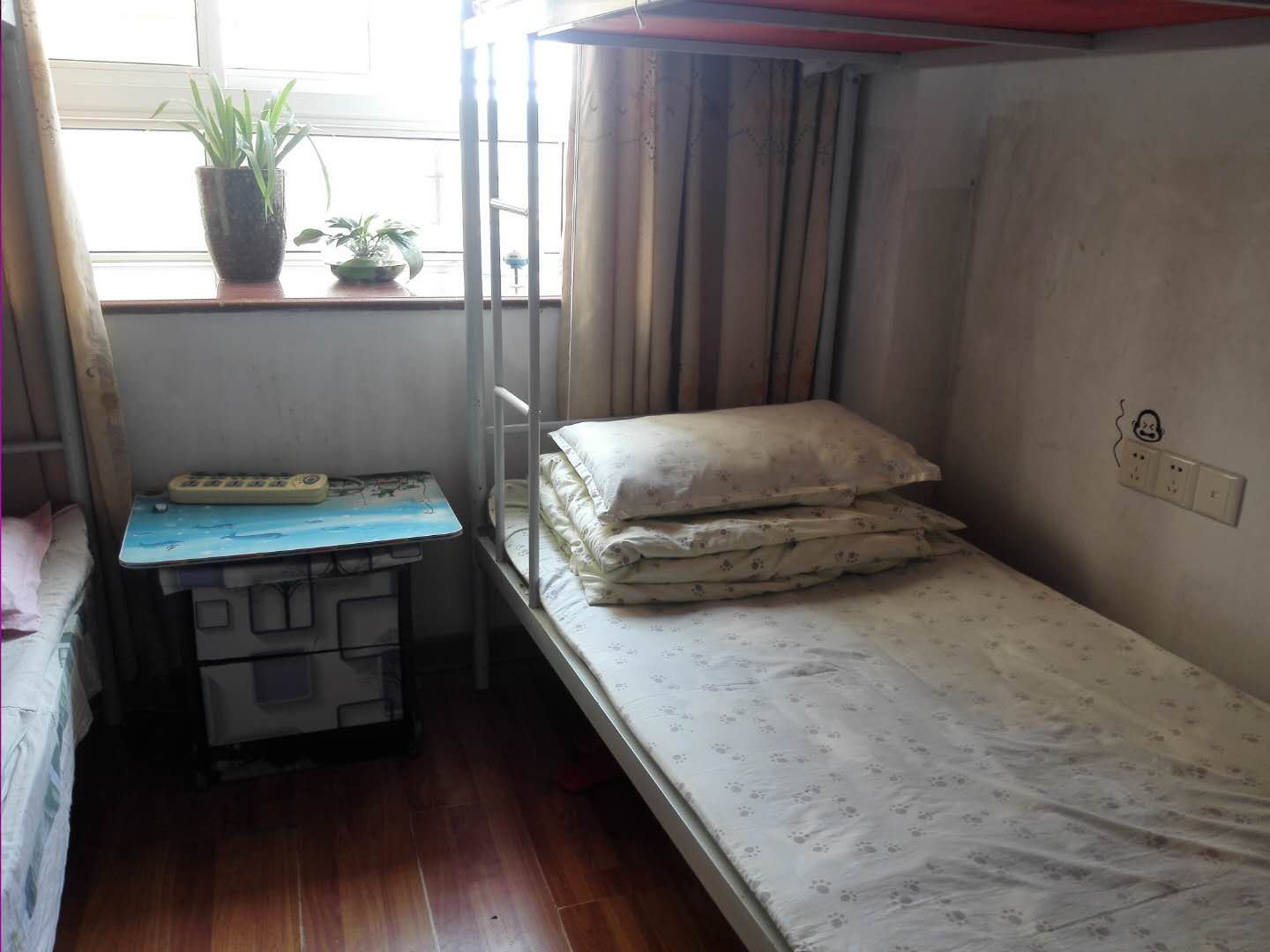 豪华女生床位房