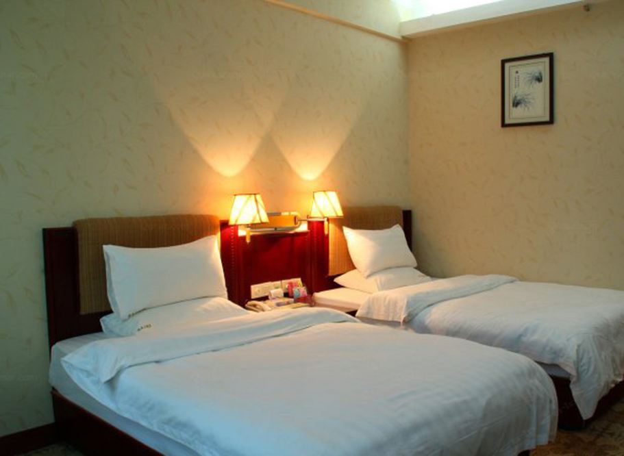 豪华行政双床房