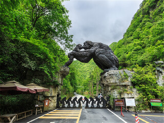 去恩施大峡谷-神农架-大九湖-武当山旅游包团_恩施大峡谷-神农架-大九湖-武当山国际旅行_深圳出发游恩施大峡谷-神农架-大九湖-武当山