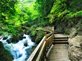 湖北武當(dāng)山旅游大約多少錢_湖北武當(dāng)山旅行跟團(tuán)_去湖北武當(dāng)山靠譜的旅行團(tuán)