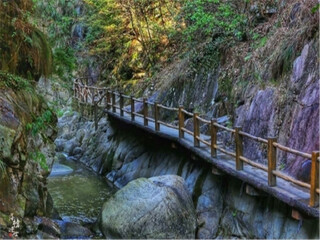 怎么去江西廬山旅游_江西廬山旅游大概多少錢_報(bào)團(tuán)去江西廬山多少錢