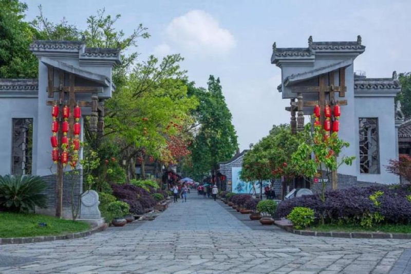 大邑3日游,你想看的古镇森林,云海日出,竹海星空