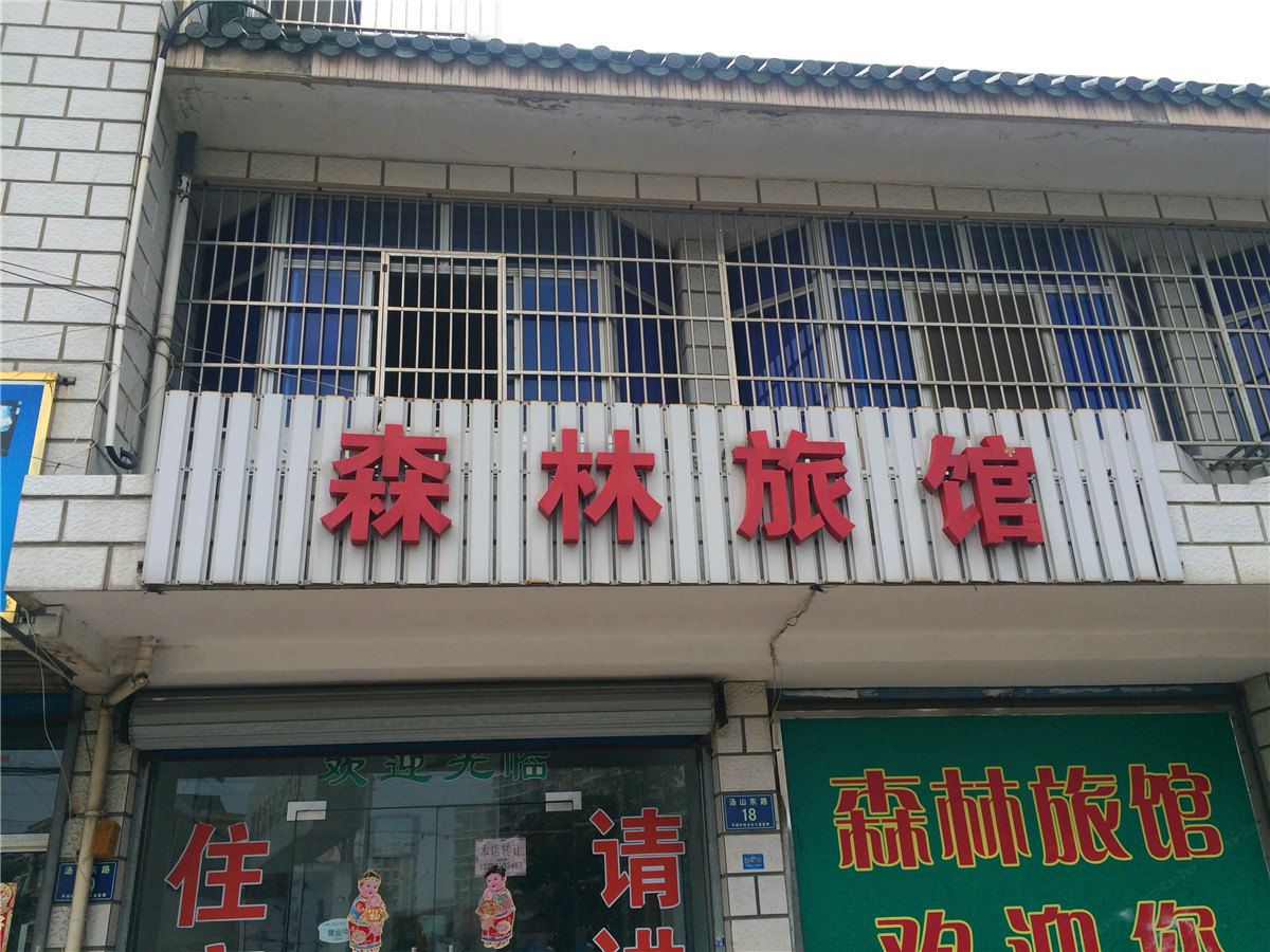 平湖森林旅馆
