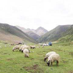 小交通模块 