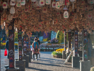 丽江旅游参团_深圳特价丽江游_到丽江旅游团多少钱