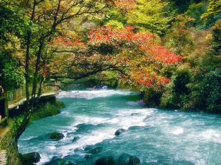 重庆旅游十日游路程_去重庆旅游团多少钱_近期去重庆旅游
