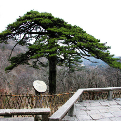 景点模块 