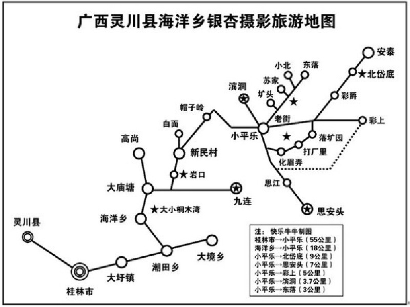 桂林海洋乡小平乐银杏之旅