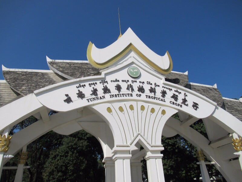 这里隶属于云南省热带作物科学研究所.