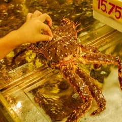 景点模块 