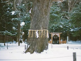 日本北海道旅游日本北海道_日本北海道9日游价格_日本北海道七日游价格