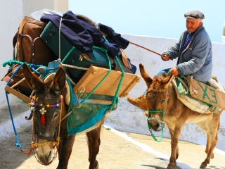 希臘游跟團(tuán)多少錢2021_希臘旅游多少錢一個(gè)人_廣州希臘旅游團(tuán)