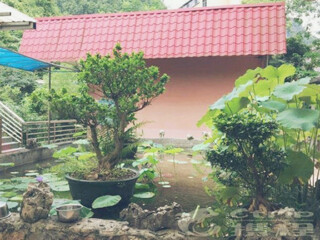 南宁-德天南宁-德天旅游报价_南宁-德天团队旅游_南宁-德天旅游团报价自由行