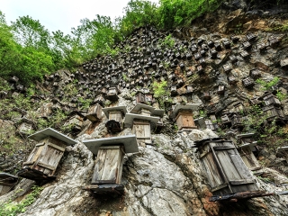 湖北武當(dāng)山旅游大約多少錢_湖北武當(dāng)山旅行跟團(tuán)_去湖北武當(dāng)山靠譜的旅行團(tuán)