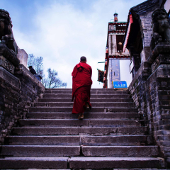 景点模块 