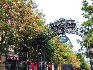 团哈尔滨旅游_去哈尔滨的旅游费用_哈尔滨8天旅游