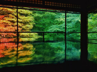 日本大阪旅游價(jià)格多少_怎么去日本大阪旅游_日本大阪自由游價(jià)格多少