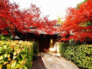 日本大阪旅游價(jià)格多少_怎么去日本大阪旅游_日本大阪自由游價(jià)格多少