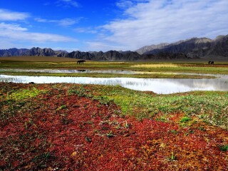 東莞到蘭州青海湖游_去蘭州青海湖報團多少錢_國慶蘭州青海湖游價格