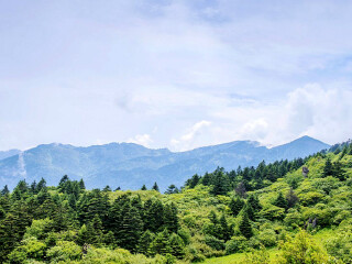 湖北武當(dāng)山旅游大約多少錢_湖北武當(dāng)山旅行跟團(tuán)_去湖北武當(dāng)山靠譜的旅行團(tuán)