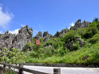 湖北武當(dāng)山旅游大約多少錢_湖北武當(dāng)山旅行跟團(tuán)_去湖北武當(dāng)山靠譜的旅行團(tuán)