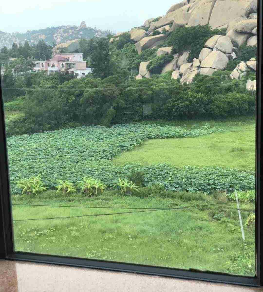 无敌海景双床房