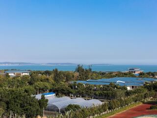 廈門鼓浪嶼旅游團(tuán)_現(xiàn)在去廈門鼓浪嶼旅游多少錢_廈門鼓浪嶼自由行費(fèi)用