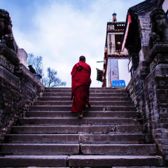 景点模块 