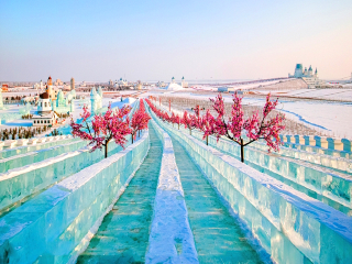 旅行团旅游哈尔滨_去哈尔滨旅游普吉岛_哈尔滨那个旅行团好