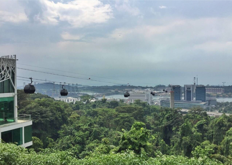 【新加坡自助游】解锁狮城五大必游景点
