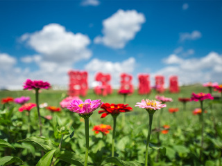 <鄂尔多斯大草原-沙漠莲花酒店-藏式黄庙当地5日游>笛风自营，畅玩尽享美食，夜宿草原度假蒙古包，莲花酒店VIP体验，报名得1500元草原沙漠套餐