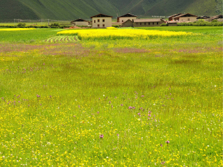 报团旅游西双版纳_到西双版纳游跟团报价_西双版纳旅游本