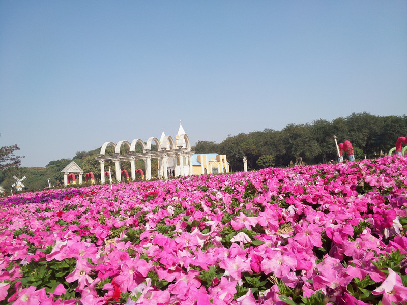 东莞一日游松山湖农家乐松湖生态园的游玩方式乐在其中