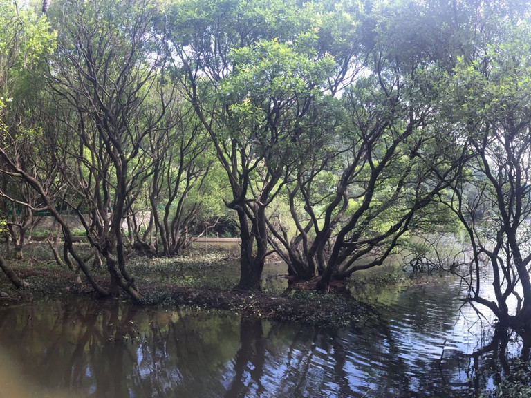 随州筱泉湾度假村