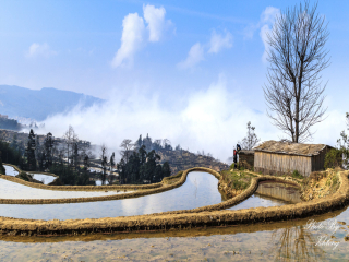 春节到昆明旅游团_到昆明跟团旅行_昆明双飞旅游报价