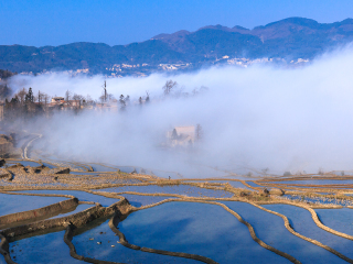 春节到昆明旅游团_到昆明跟团旅行_昆明双飞旅游报价